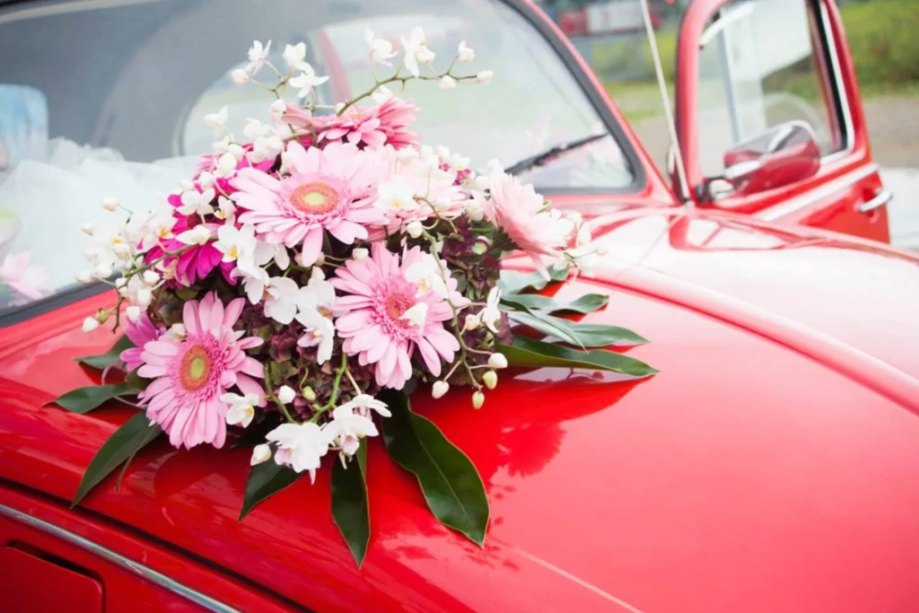 de rode kever impressies 001