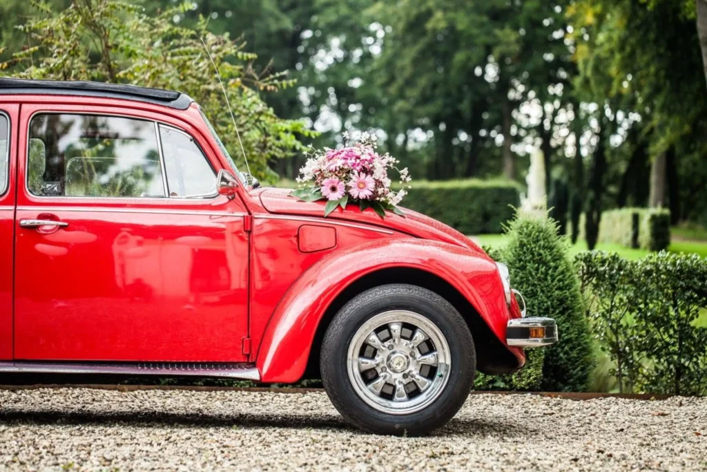 de rode kever impressies 003